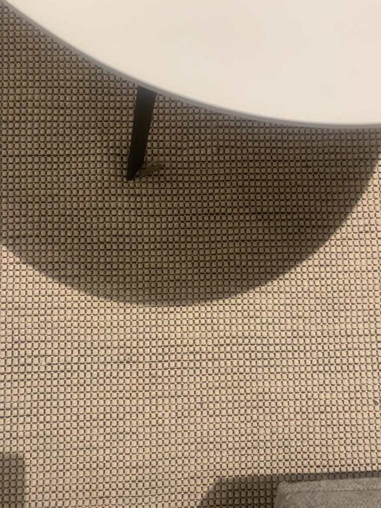 Design vloerkleed Kvadrat Element