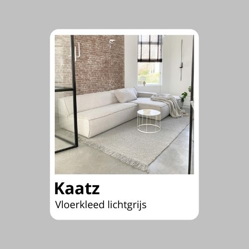 Lichtgrijs vloerkleed