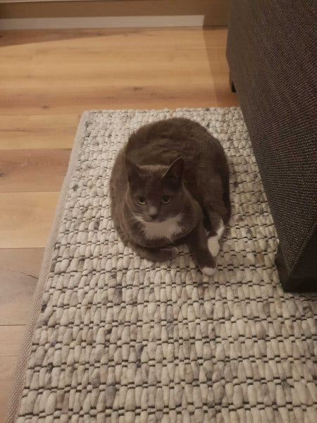 Handgeweven wollen vloerkleed Filou Offwhite Mix 05 detail 5