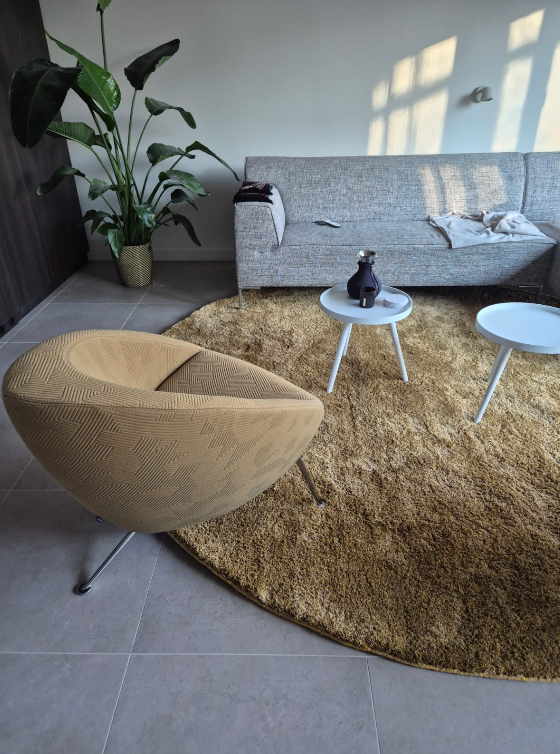 Hoogpolig vloerkleed Aliza 20 Goud 41 55 55 interieur