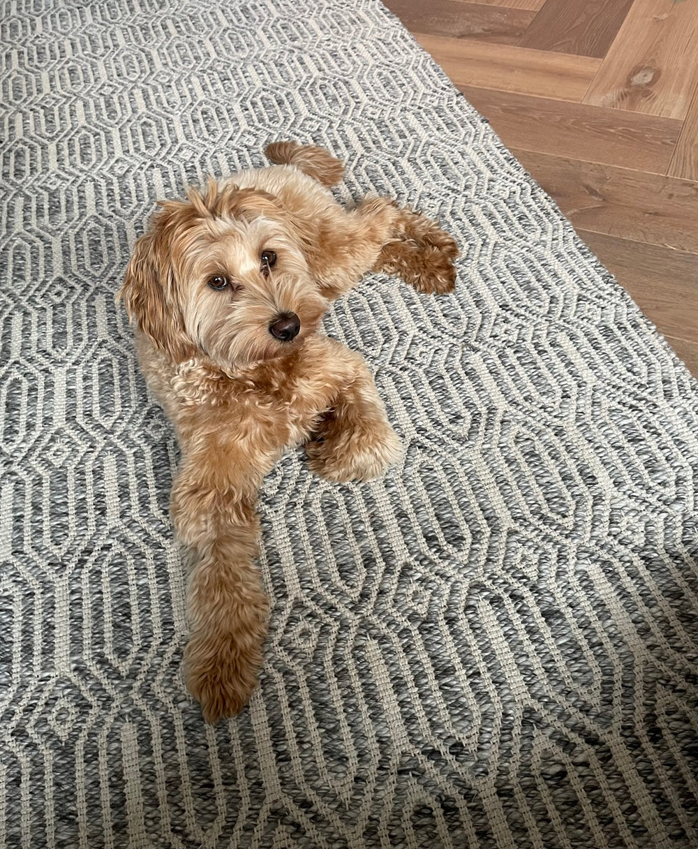 Wollen vloerkleed Jule Grey sfeer