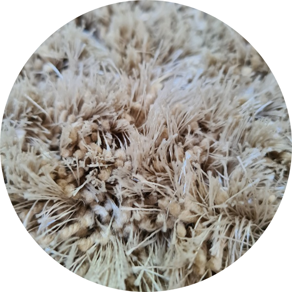 Rond hoogpolig vloerkleed Penelope Offwhite detail